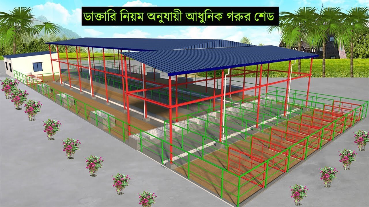 ডাঃ নুরুল আমীন স্যারের পরামর্শ অনুযায়ী আধুনিক গরুর শেড ডিজাইন | Modern cow shed Design