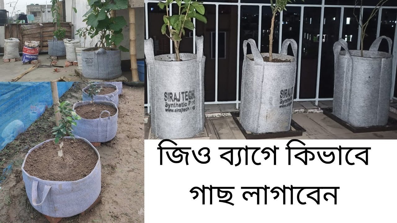 Geo growing bags | জিও ব্যাগে কিভাবে গাছ লাগাবেন | গাছ রোপণে সাশ্রয়ী টব জিও গ্রো ব্যাগ