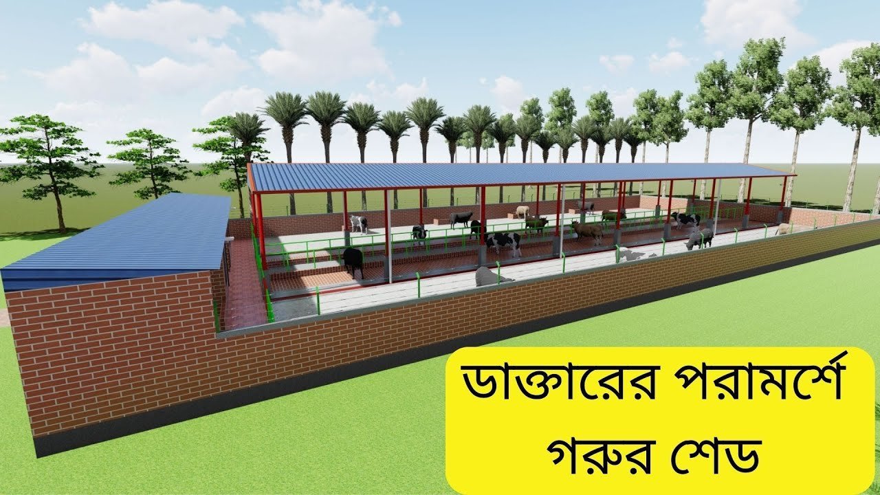 Dairy Farm Shed plans in Bangladesh