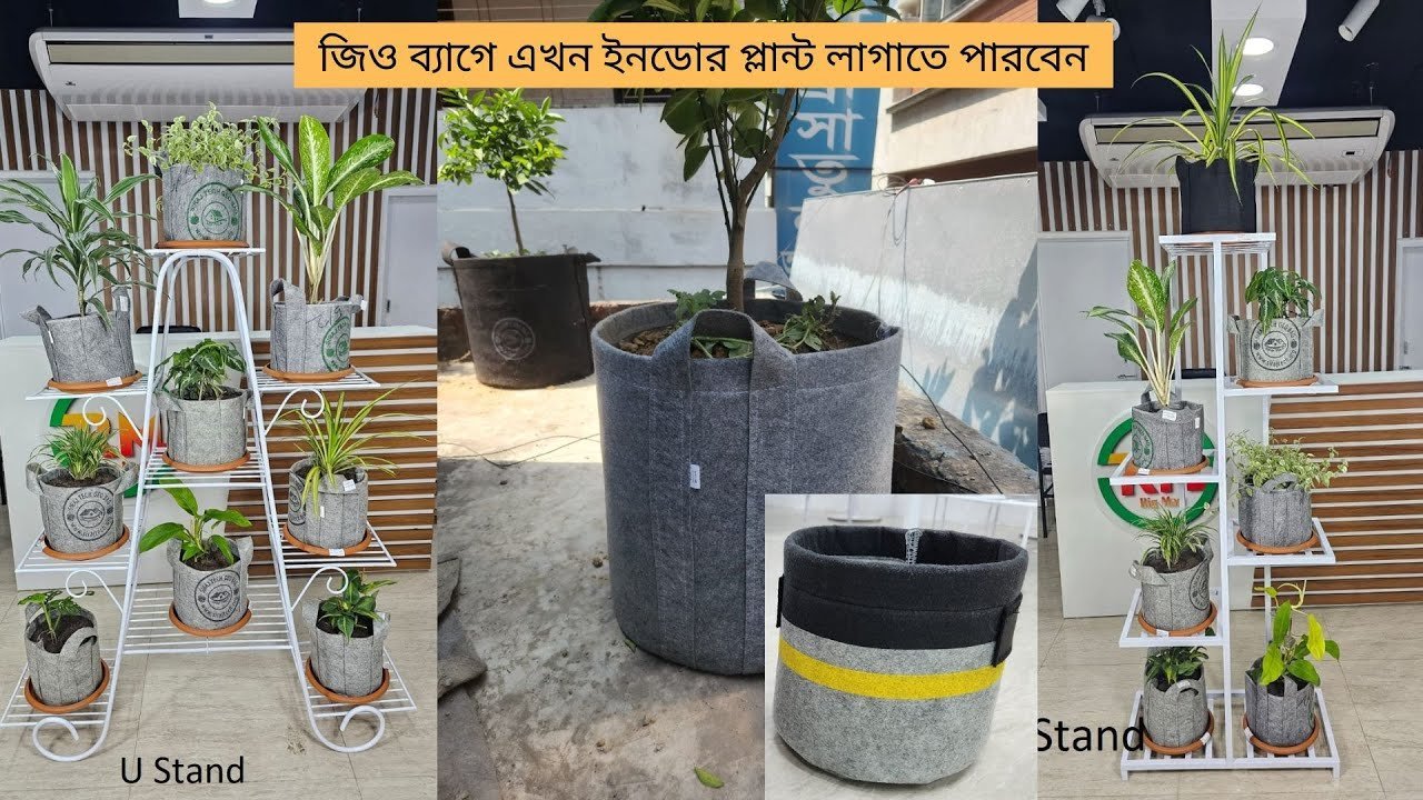 Geotextile bags manufactured by Siraj Tech – জিও ব্যাগে এখন ইনডোর প্লান্ট লাগাতে পারবেন