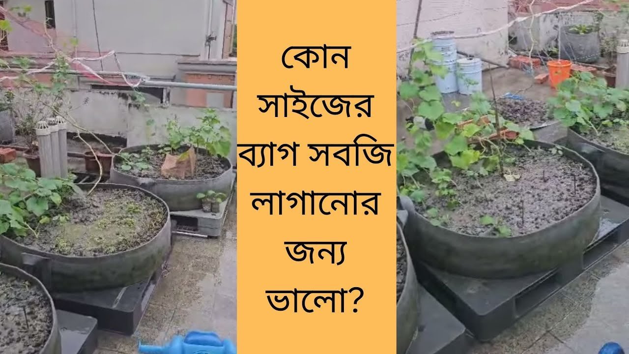 Vegetable bad – কোন সাইজের ব্যাগ সবজি লাগানোর জন্য ভালো?
