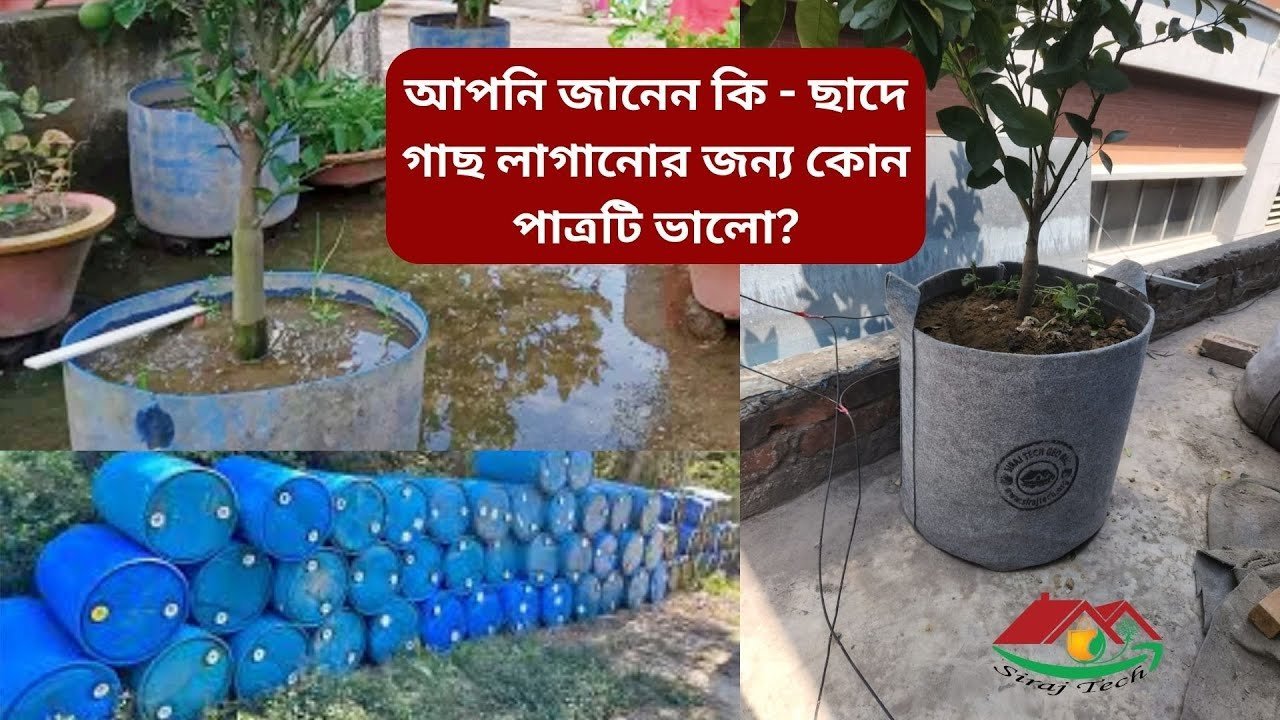 আপনি জানেন কি – ছাদে গাছ লাগানোর জন্য কোন পাত্রটি ভালো? | Plastic Drum VS Geo Bag