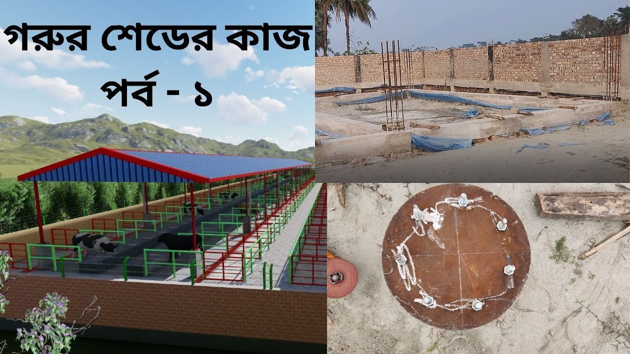standard Cattle Shed Making at Khulna || Steel Column i-bolt settings