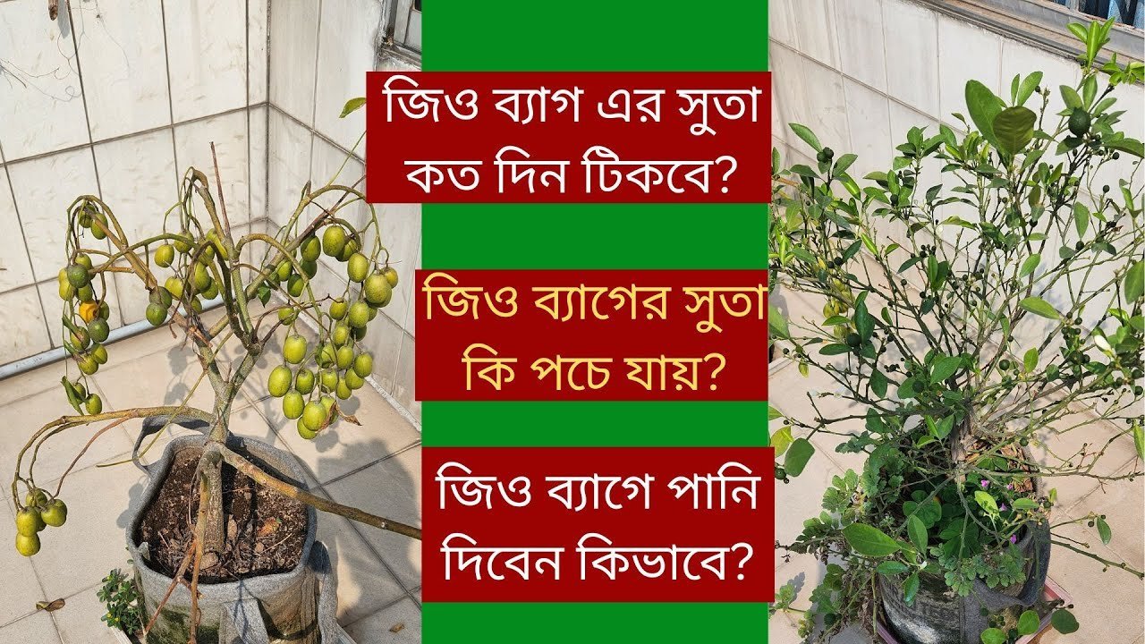 Geotextile Bag | Geo Pot | জিও ব্যাগ এর সুতা কত দিন টিকবে?