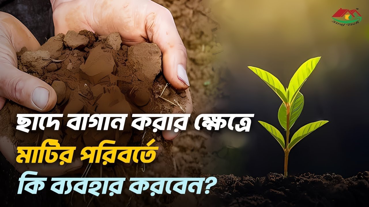 Use of Cocopeat for Gardening – কোকোপিট কোথায় কিভাবে ব্যাবহৃত হয়।