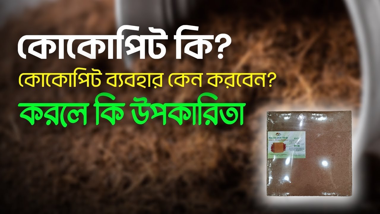 বাগানের জন্য কোকোপিট কেন গুরুত্বপূর্ন ? Why is cocopeat important for the garden? Siraj Tech