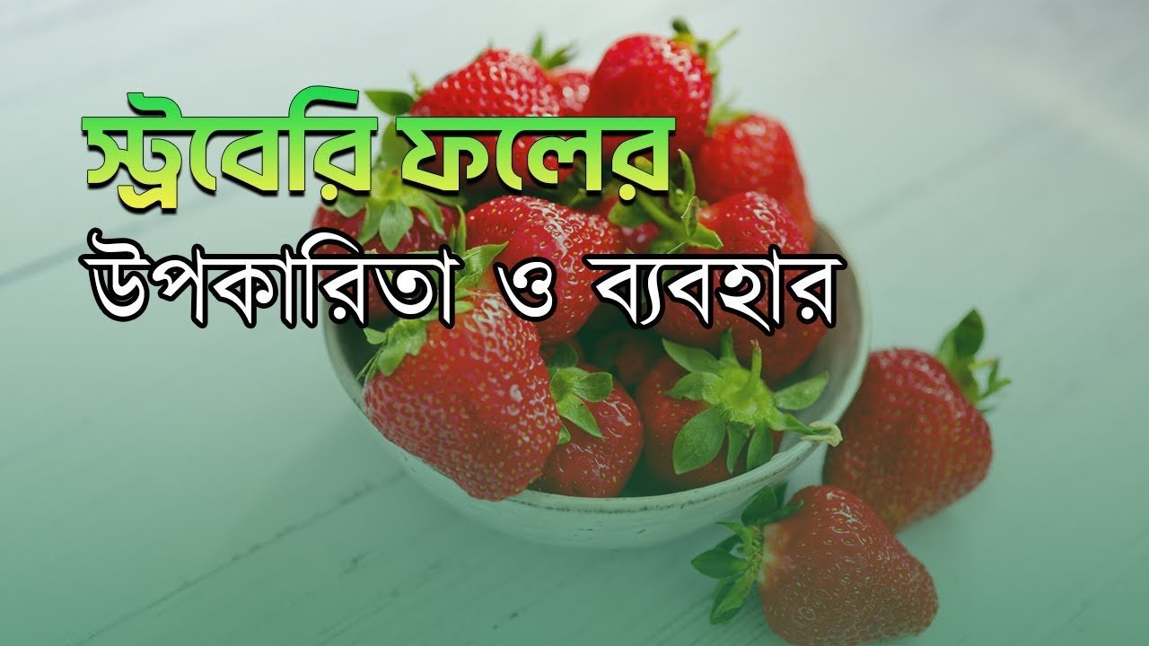 How Strawberries Improve Your Health | স্ট্রবেরি ফলের আশ্চর্যজনক উপকারিতা | Siraj Tech
