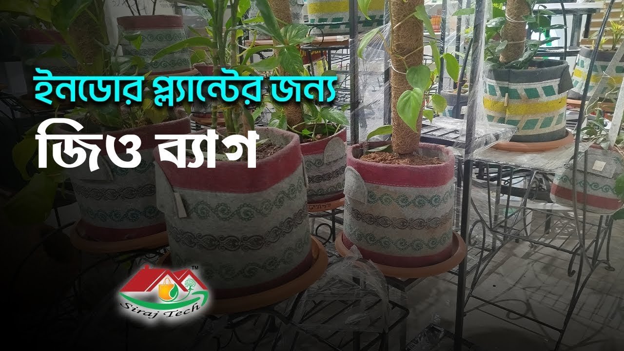Geo gardening bag for indoor plants । ইন্ডোর প্লান্টের জন্য জিও গার্ডেনিং ব্যাগ । Siraj Tech