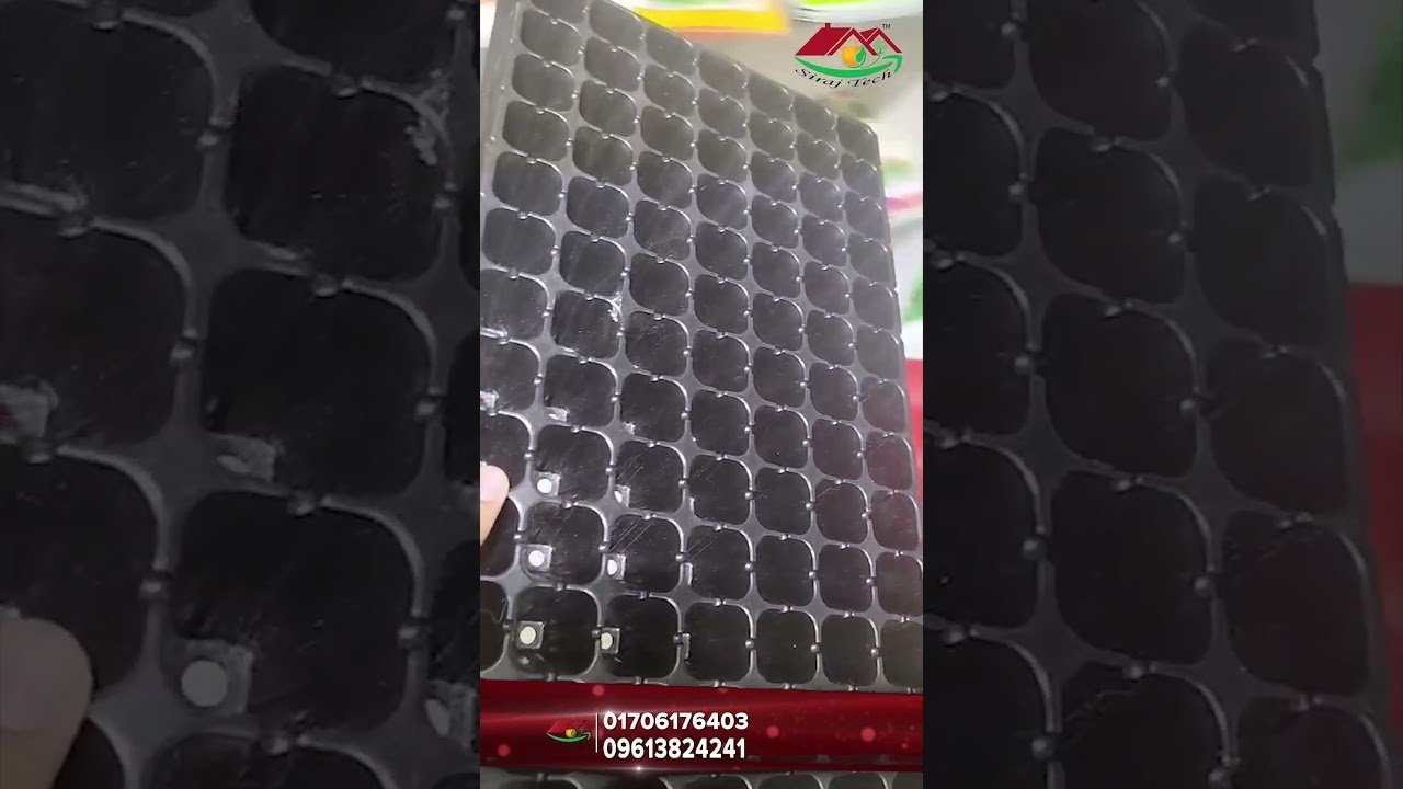 Seedling tray । চারা গজানোর জন্য সিডলিং ট্রে । Siraj Tech