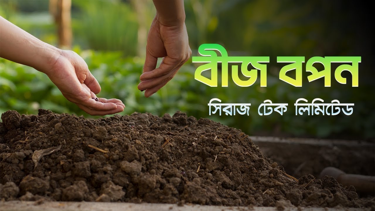 Beginner’s Guide to Proper Seed Sowing | কিভাবে বীজ সঠিকভাবে বপন করতে হয় । Siraj Tech