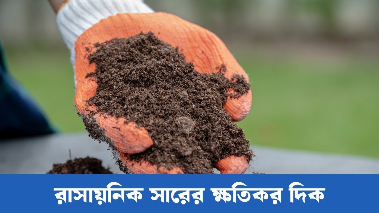 Understanding the Risks of Chemical Fertilizers । রাসায়নিক সারের ক্ষতিকর দিক । Siraj Tech
