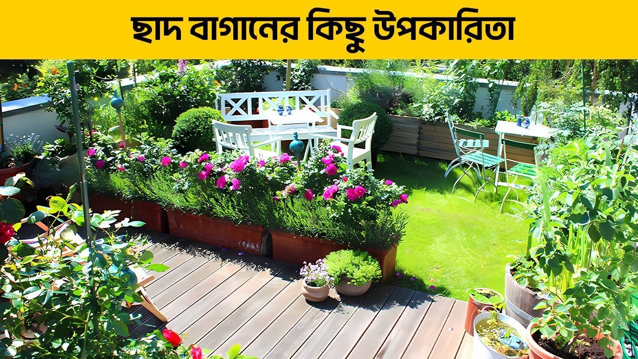 Why Your Home Needs a Roof Garden RIGHT NOW – ছাদ বাগানের কিছু উপকারিতা।