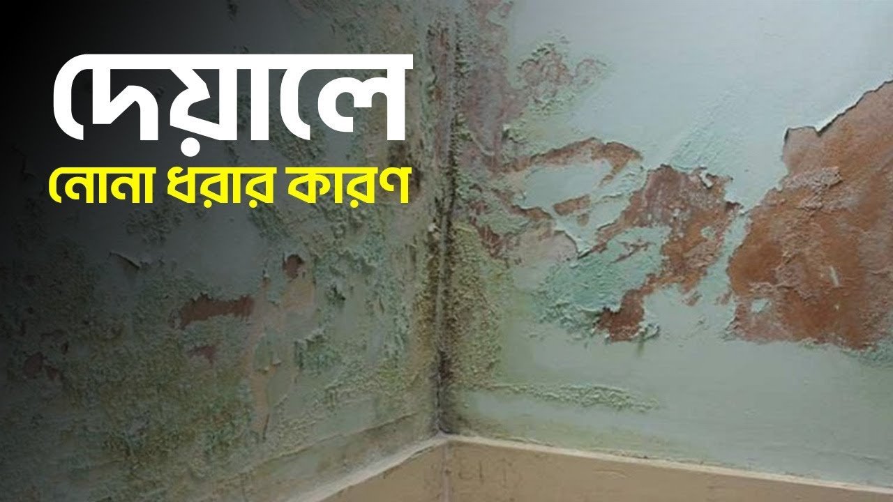 Causes of salt on walls – দেয়ালে নোনা ধরার কারণ ।