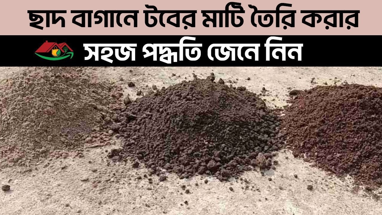 Learn easy ways to make tub soil rooftop gardens ছাদ বাগানে টবের মাটি তৈরি করার সহজ পদ্ধতি জেনে নিন