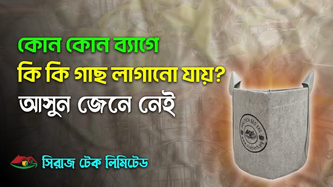 What kind of plants can be planted in any bag – কোন কোন ব্যাগে কি কি গাছ লাগানো যায়?
