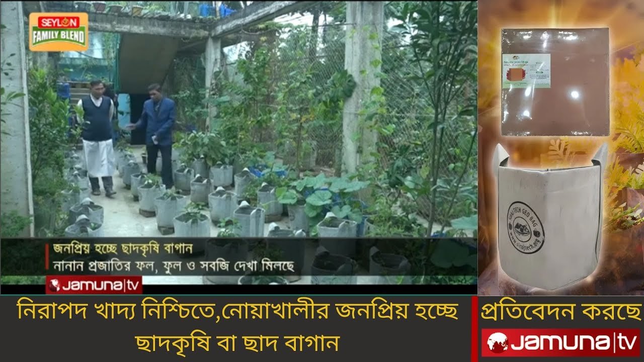 নিরাপদ খাদ্য নিশ্চিতে নোয়াখালীতে জনপ্রিয় হচ্ছে ছাদকৃষি – Rooftop Gardening