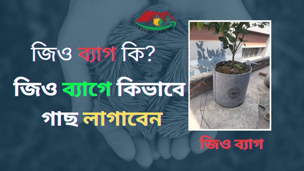 How to plant a tree in a geo bag – জিও ব্যাগে কিভাবে গাছ লাগাবেন।