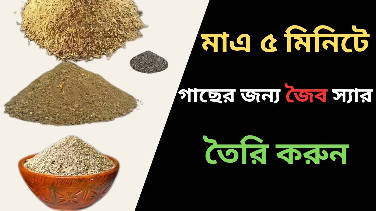 Make organic fertilizer – মাত্র ৫ মিনিটে গাছের জন্য জৈব স্যার তৈরি করুন।