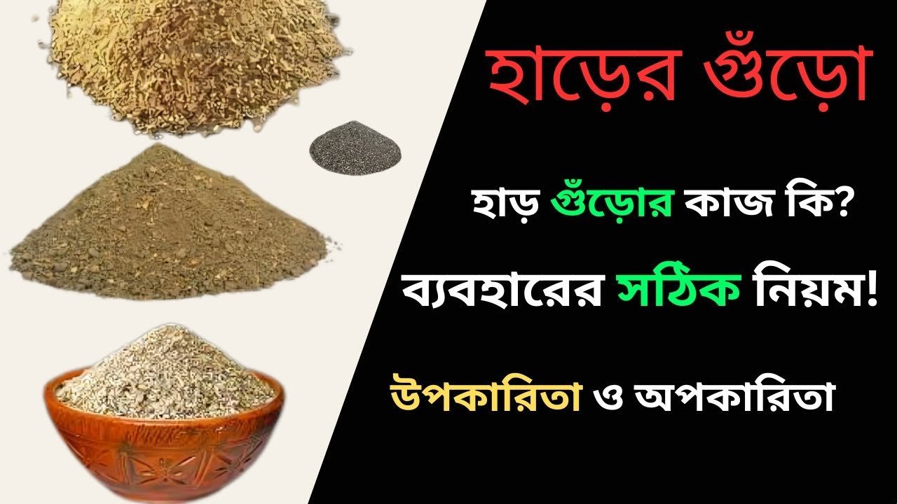Proper use of bone powder – হাড়ের গুঁড়া ব্যবহারের সঠিক নিয়ম।