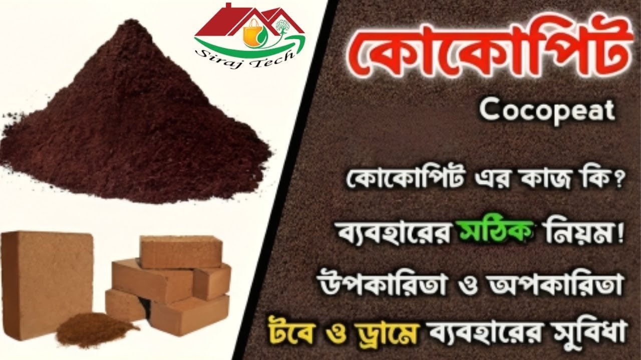Rules for using cocopeat – ছাদবাগানে মাটির বিকল্প ও কোকোপিটের ব্যাবহারের নিয়ম ।