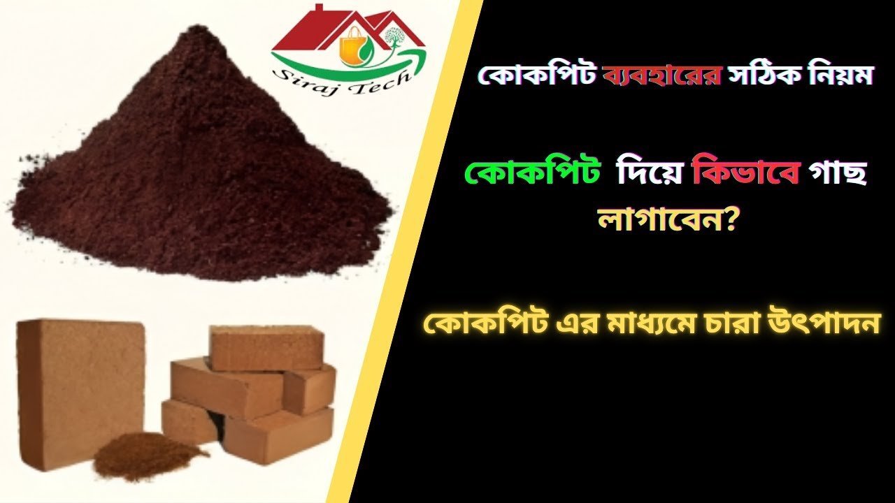 Correct rules for using cocopeat ।কোকোপিট ব্যবহারের জন্য সঠিক নিয়ম ।