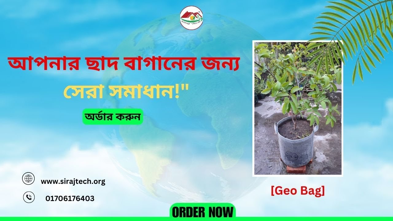 Best Solution for Roof Garden – আপনার ছাদ বাগানের জন্য সেরা সমাধান