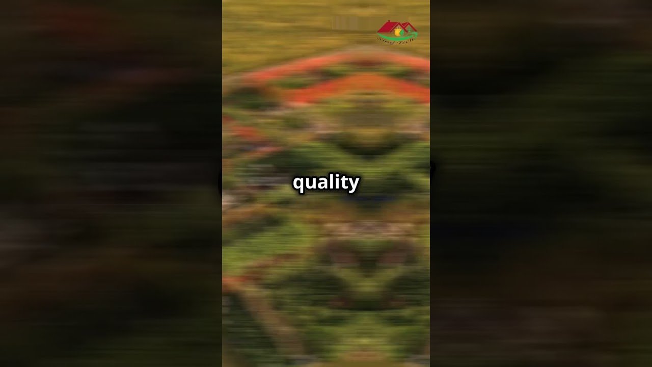 What impact does a rooftop garden have on life? #garden #gardening #beautifulnature