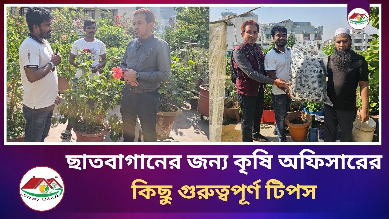 ছাতবাগানের জন্য কৃষি অফিসারের কিছু গুরুত্বপূর্ণ টিপস ।