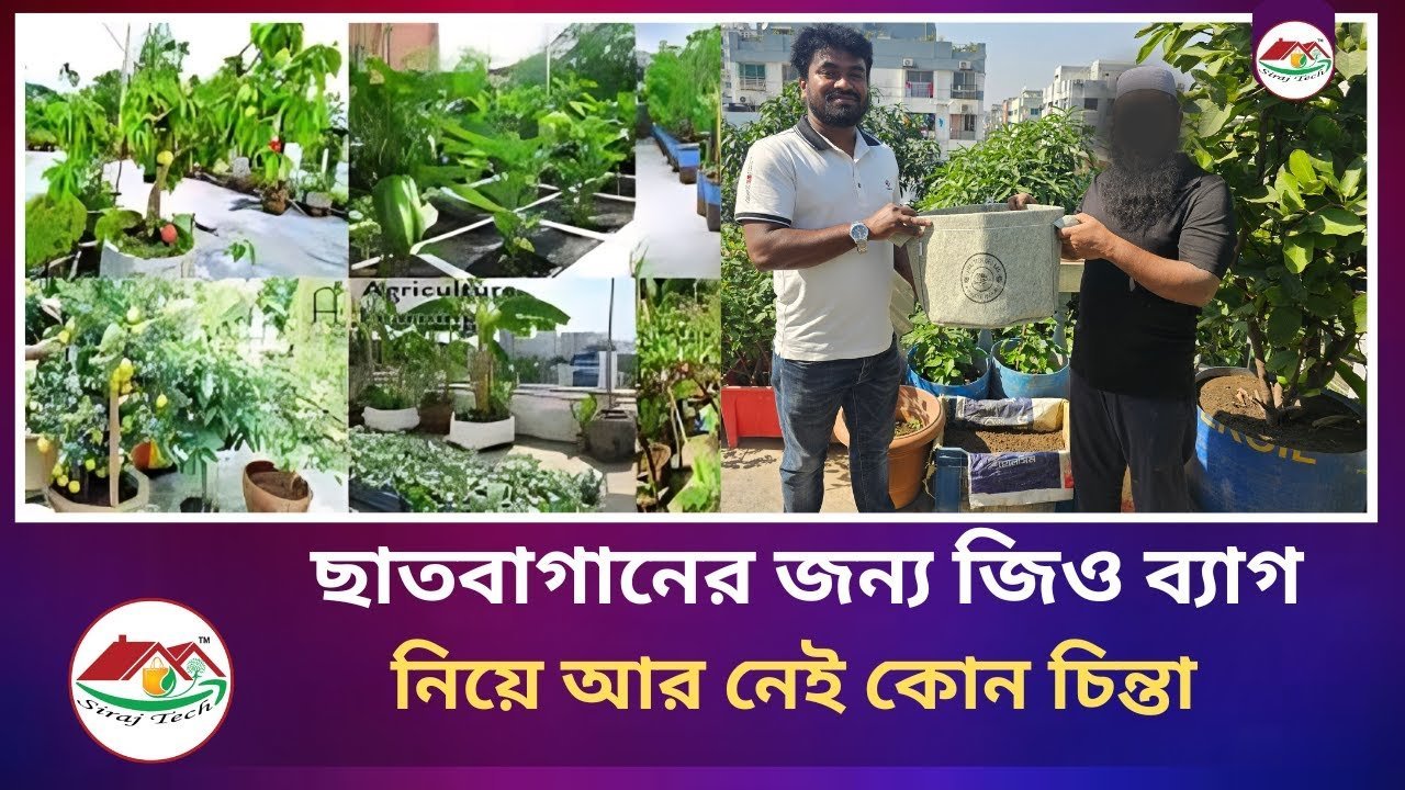 No more worries about the roof garden geo bag – ছাদ বাগানের জিও ব্যাগ নিয়ে আর কোন চিন্তা নেই।
