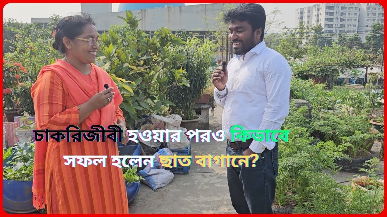 Garden – চাকরিজীবী হওয়ার পরও কিভাবে সফল হলেন ছাত বাগানে? – gardener