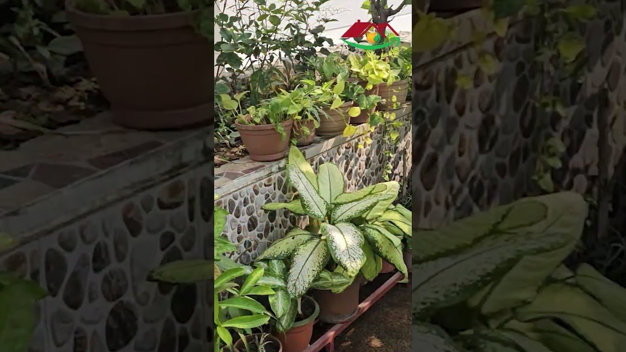 জিও ব্যাগ: আপনার ছাদ বাগানের সেরা সমাধান!” #geobag #geotextile #gardening #garden