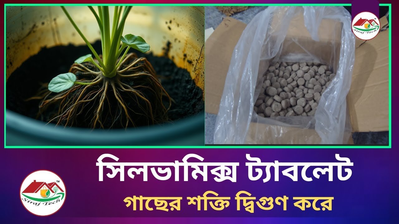 Fertilizer Tablet or Silvamix Tablet – গাছের পুষ্টির আধুনিক সমাধান