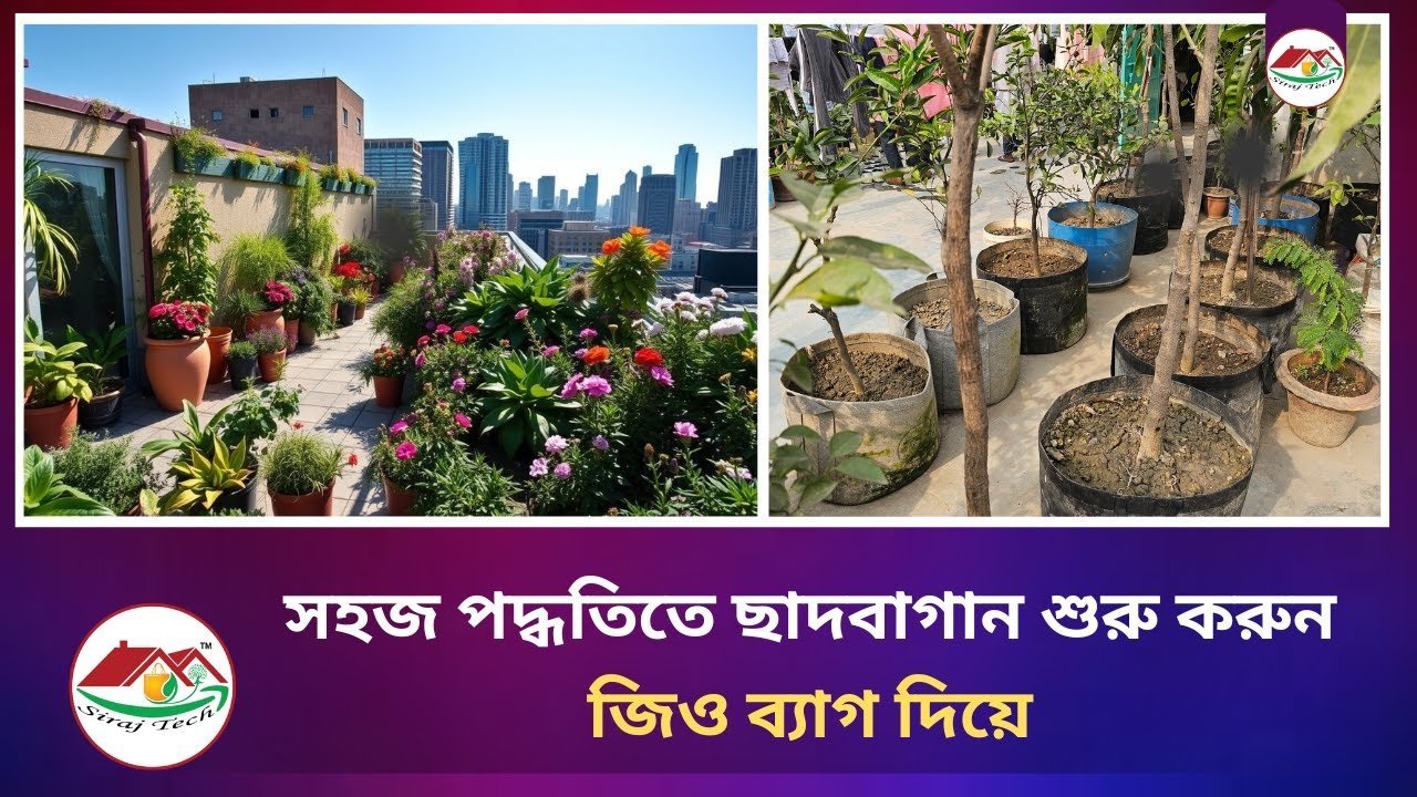 Start a Rooftop Garden with Geo Bag – জিও ব্যাগেই করুন ছাদবাগান