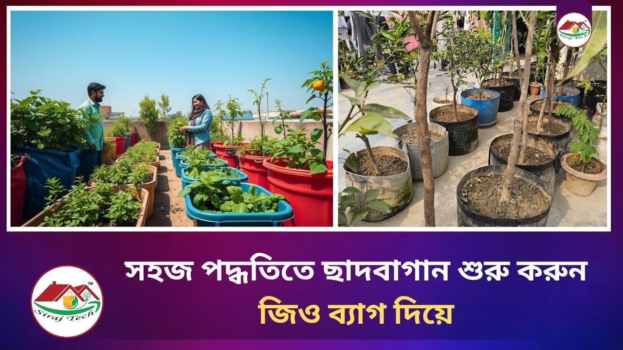Make a Rooftop Garden with Geo Bags – সহজ পদ্ধতিতে ছাদবাগান