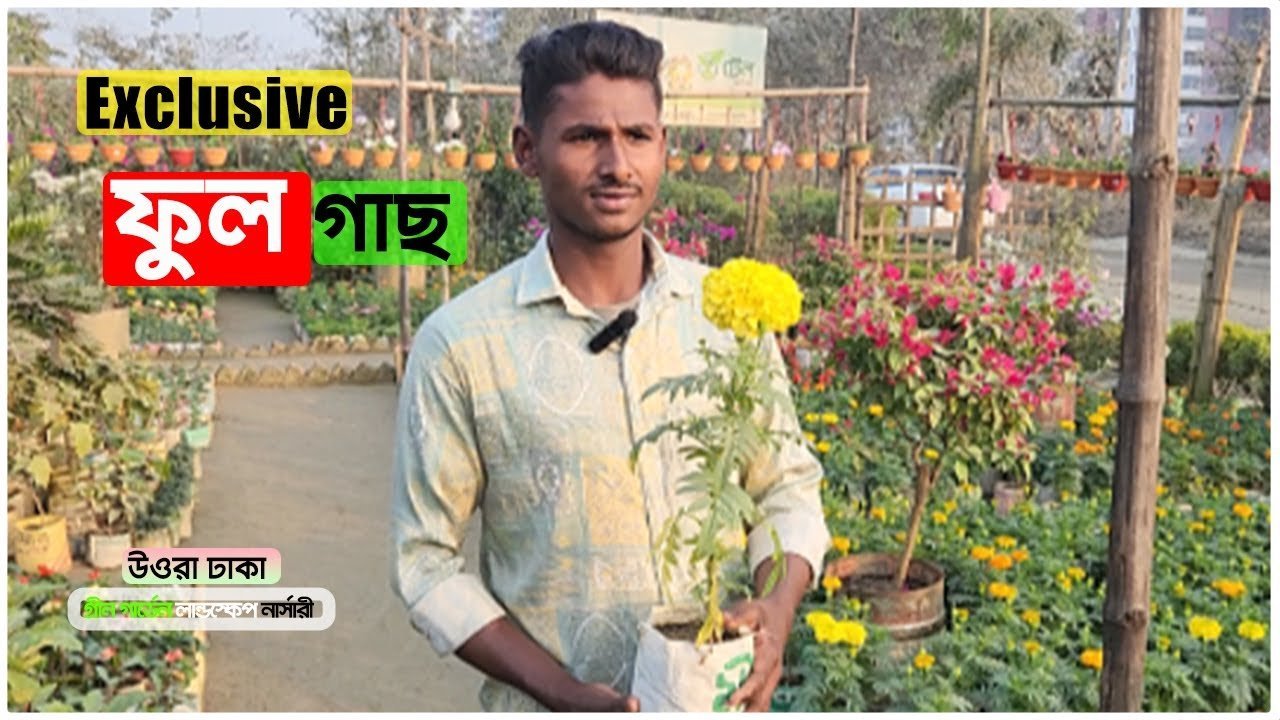 Flower Plant Price in Uttara Gardening Bangladesh – ফুল গাছের দাম গ্রীন গার্ডেন লান্ডস্কেপ নার্সারিতে