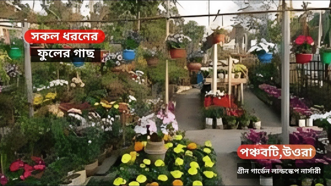 Best Prices for Flowers & Indoor Plants | ফুল ও ইনডোর প্ল্যান্টের সেরা কালেকশন