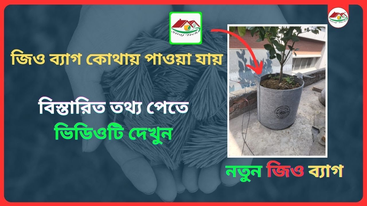 Where to Get Geo Bags – জিও ব্যাগ কোথায় পাওয়া যায়?