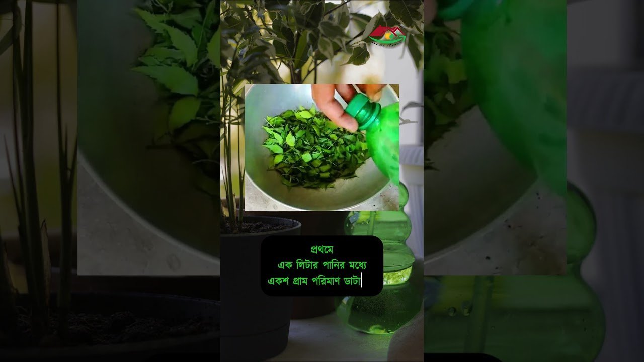 How to make organic pesticides