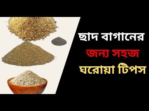 Easy Home Tips for Rooftop Gardening | ছাদ বাগানের জন্য সহজ ঘরোয়া টিপস।