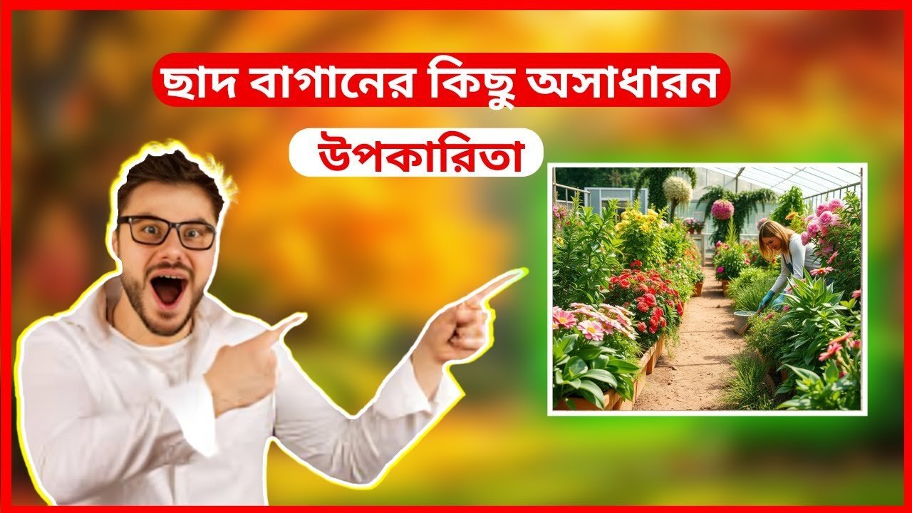 Some amazing benefits of rooftop gardens – ছাদ বাগানের কিছু অসাধারন উপকারিতা ।