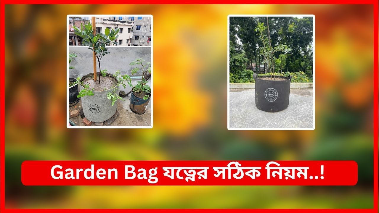 Grow bag care: গ্রো ব্যাগ দীর্ঘস্থায়ী করার সেরা ৫টি টিপস