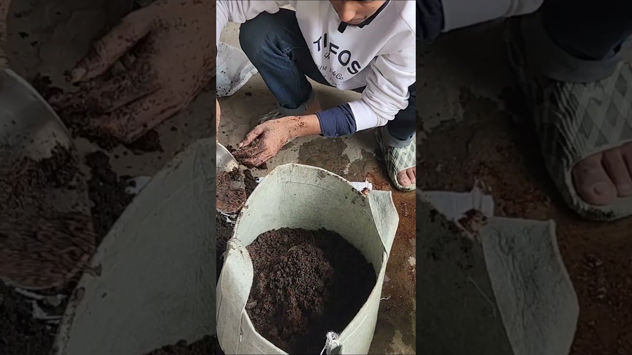 ছাদ বাগানের জন্য সেরা জিও গ্রো ব্যাগ – Siraj Tech Geo Grow Bag