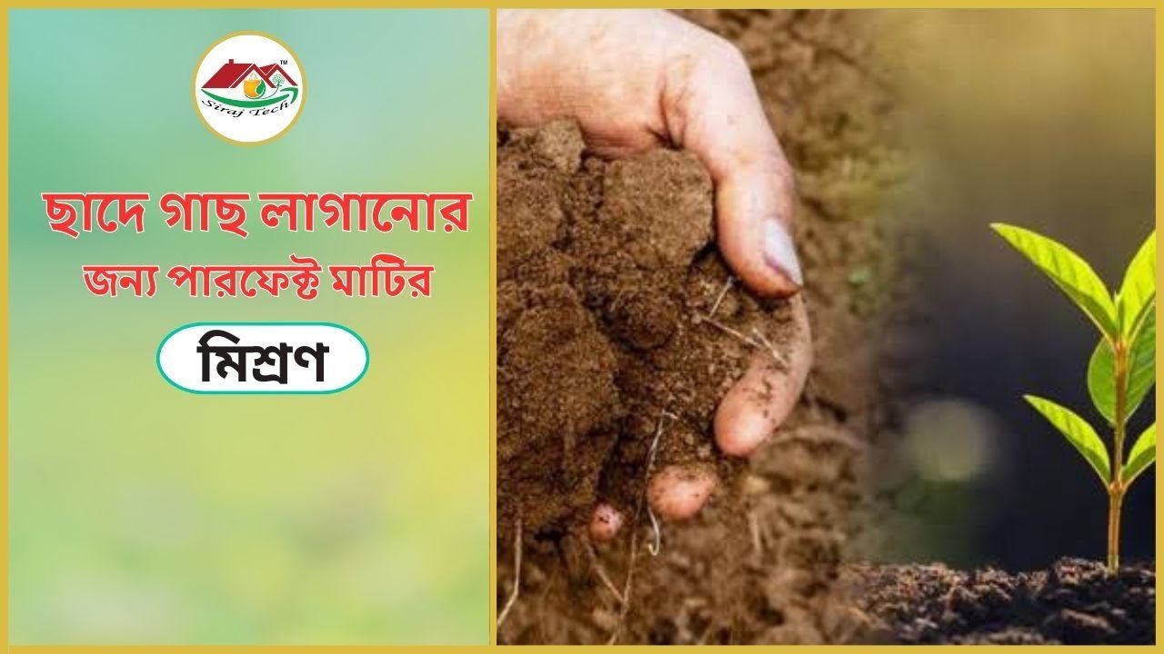 Perfect Soil Mix – ছাদে গাছ লাগানোর জন্য পারফেক্ট মাটি তৈরির সহজ রেসিপি