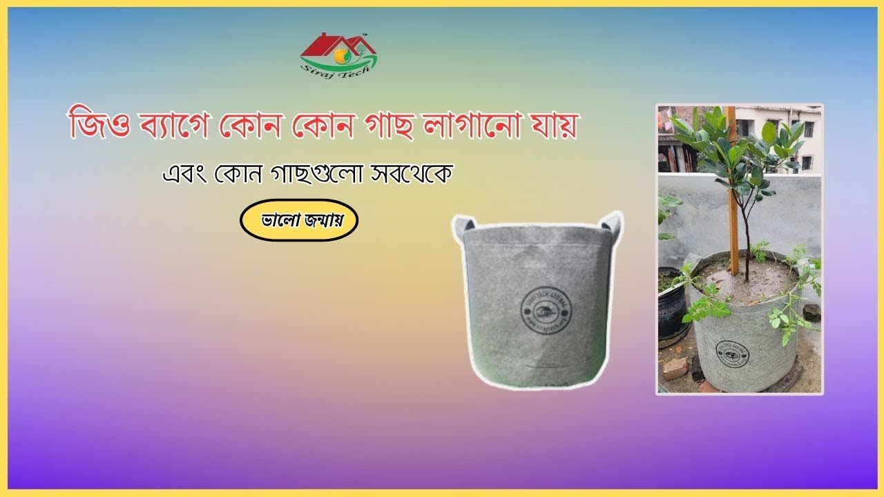 Geo Pot for plant – জিও ব্যাগে কোন কোন গাছ লাগানো যায়