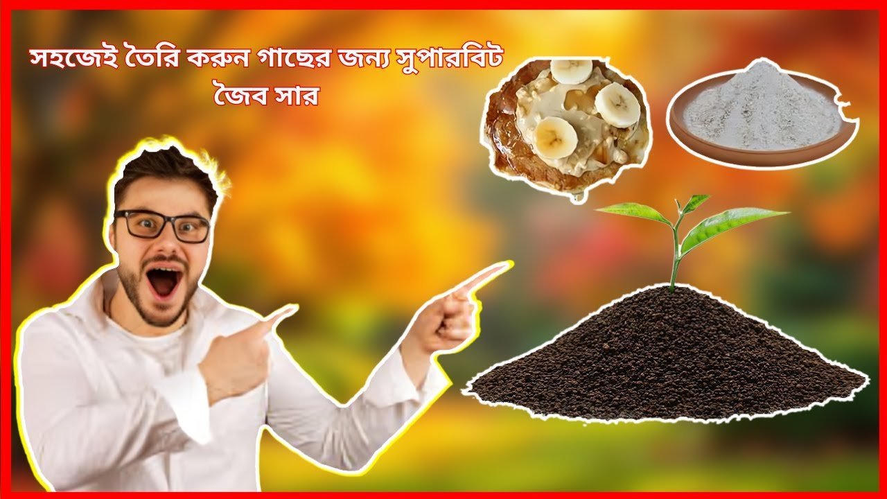 Easily make organic fertilizer – ঘরে তৈরি করুন শক্তিশালী তরল জৈব সার