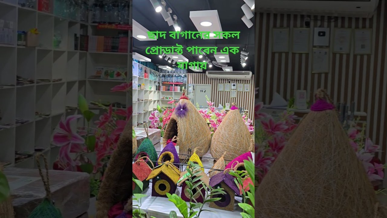 #ছাদবাগান #gardeningtools #geogrowbag #rooftopgarden #garden #gardening