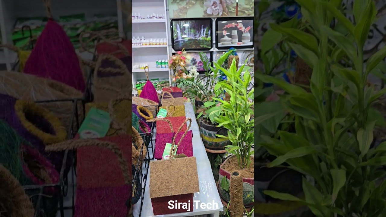 #ছাদবাগান #gardeningtools #geogrowbag #growbag #gardeningtips #rooftopgarden #rooftopgardening