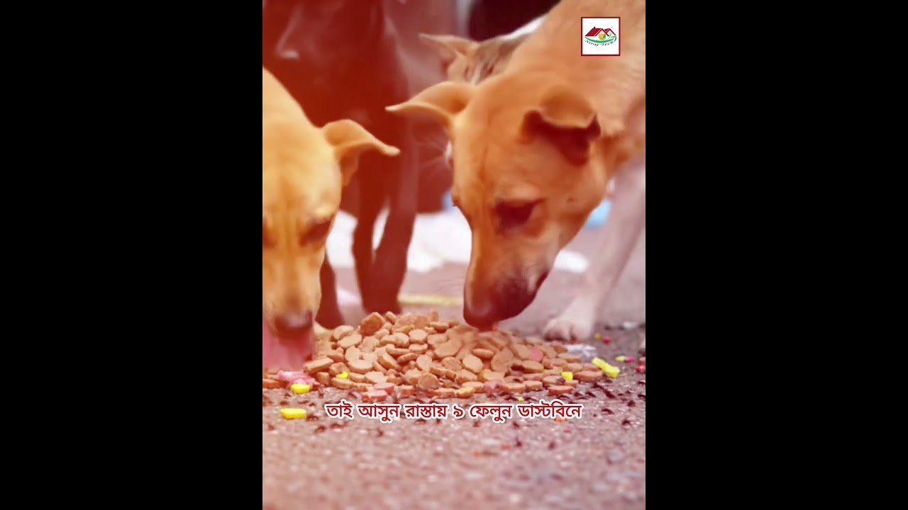 রাস্তায় খাবার ফেলা বন্ধ করুন 🚫 | পরিষ্কার শহর, সুস্থ জীবন 🌿 | Siraj Tech