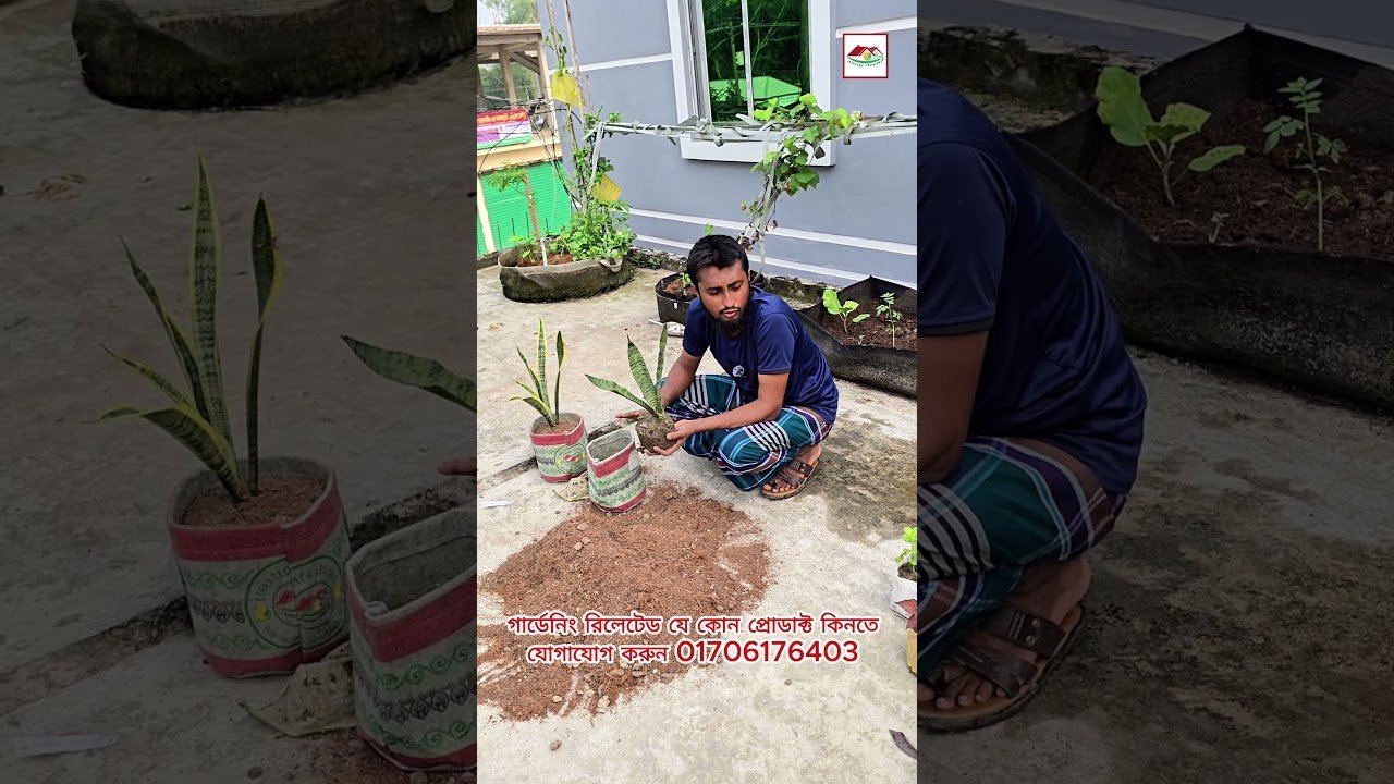 ইনডোরে গাছ লাগানোর জন্য এখনই ব্যবহার করুন Siraj Tech এর সুন্দর Geo Bag 🌿 | Indoor Gardening | Sir