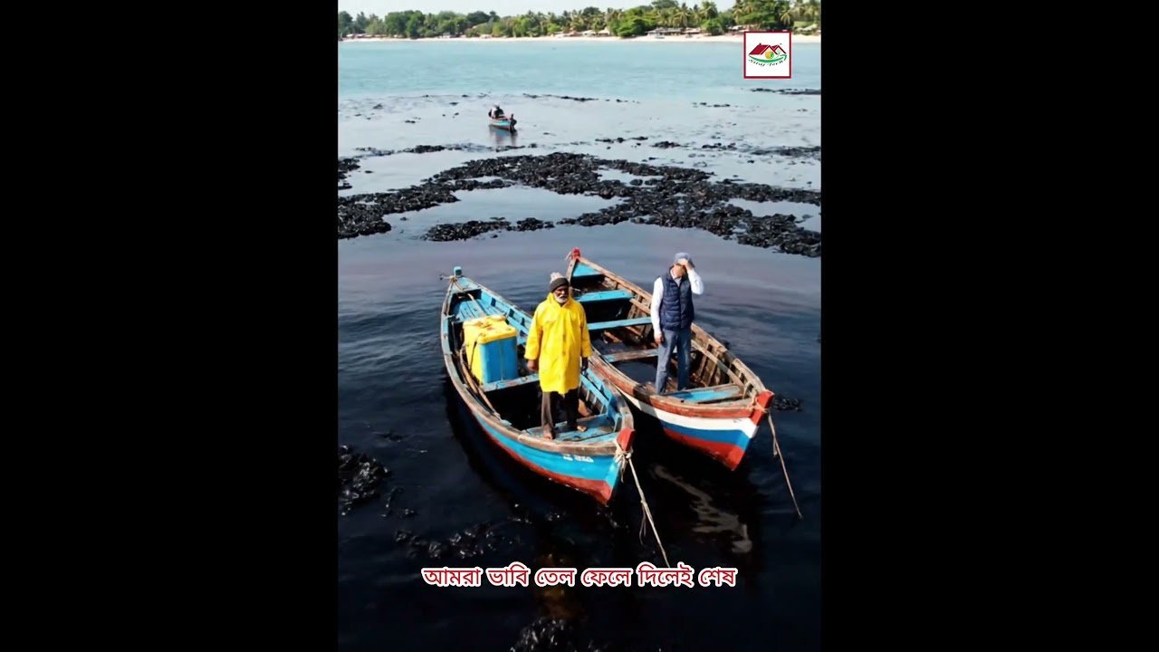 সমুদ্রের তেল শুধু পানি নয়… প্রাণও নষ্ট করে 🐬 | সাগর রক্ষা করুন | Siraj Tech